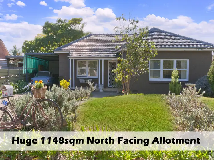 16 Quandong Street, North Brighton SA 5048