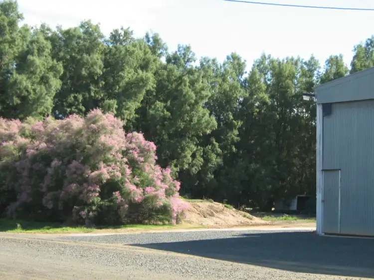 Second view of Homely land listing, 2 Elizabeth Street, Lockington VIC 3563