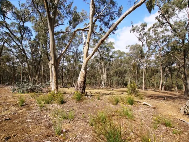 Main view of Homely rural property listing, 3/359 Limestone Road, Guildford VIC 3451