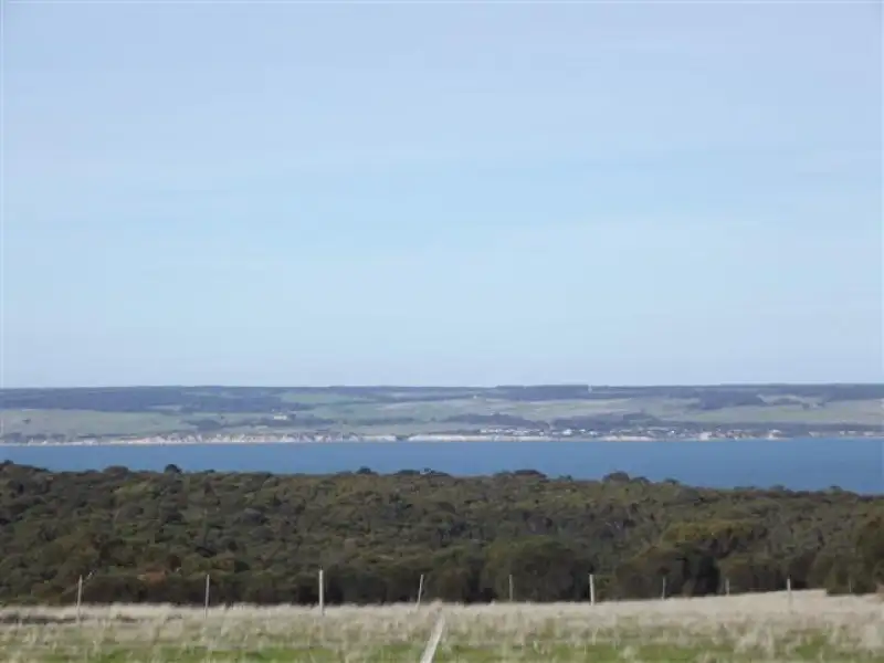 Main view of Homely rural property listing, 316 Ballast Head Road, American River SA 5221