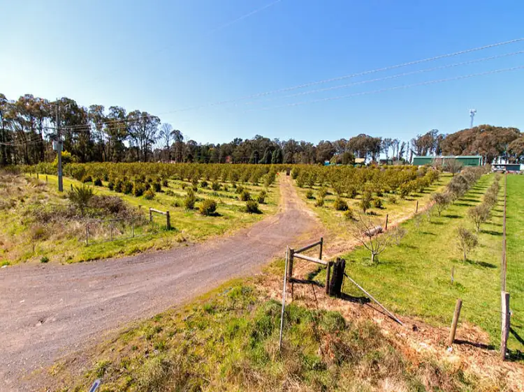 Third view of Homely rural property listing, 955 Whittlesea-Kinglake Road, Kinglake West VIC 3757