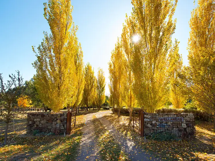 Second view of Homely house listing, 2 National School Lane, Campbells Creek VIC 3451