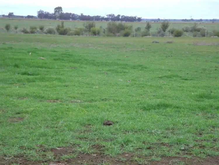 Fifth view of Homely rural property listing, Bridgewater - Maldon Road, Bridgewater On Loddon VIC 3516