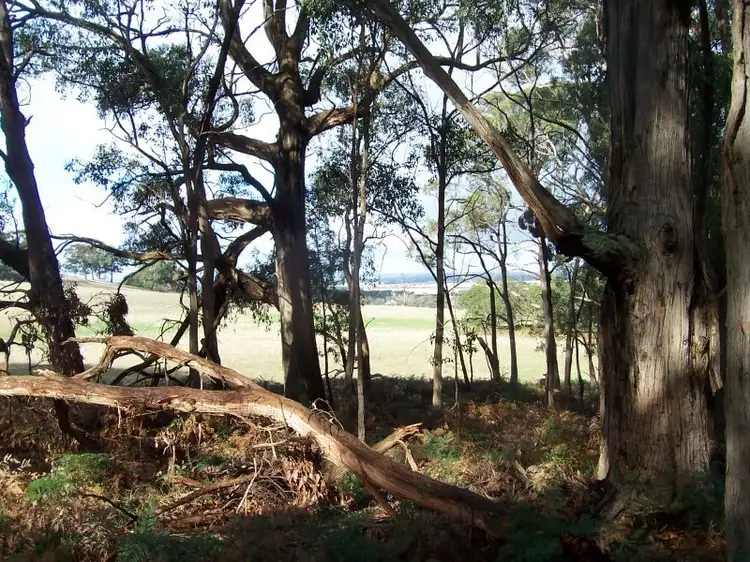 LOT 29 Cemetary Lane, Mount Egerton VIC 3345