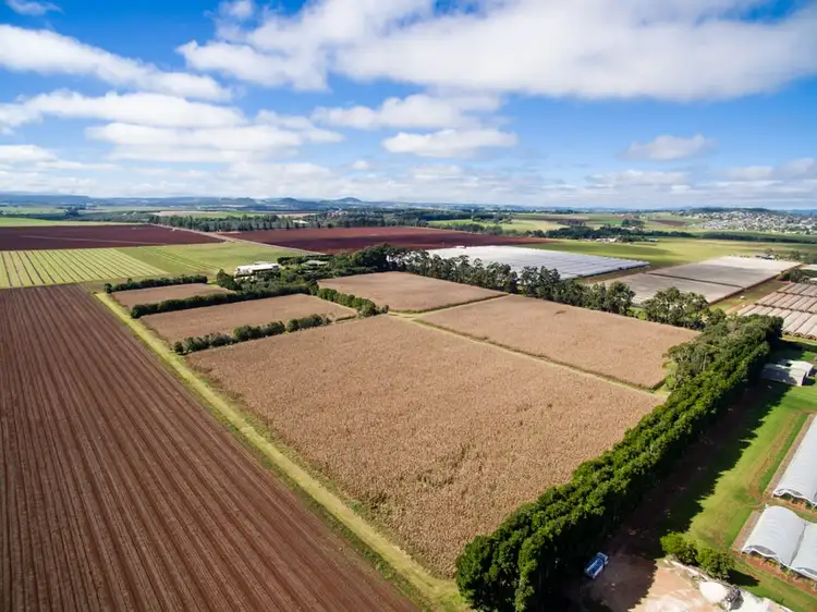 Second view of Homely rural property listing, 119 Beantree Road, Tolga QLD 4882