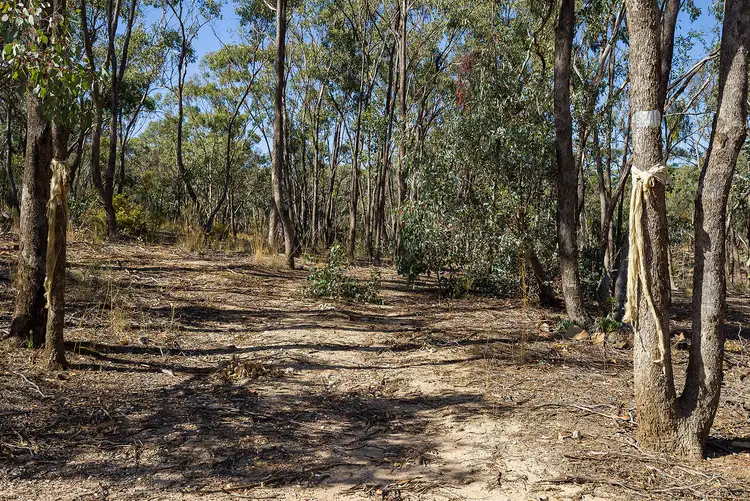 Fifth view of Homely land listing, 80 McMillans Road, Green Gully VIC 3462