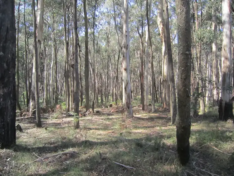 Seventh view of Homely house listing, 150 Horvaths Road, Trentham VIC 3458