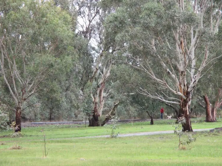 Lot 5, 25 Macarthur Street, Dunkeld VIC 3294