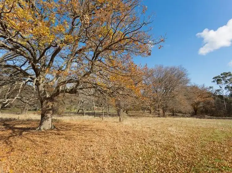 Second view of Homely land listing, 1 Sparks Road, Chewton VIC 3451