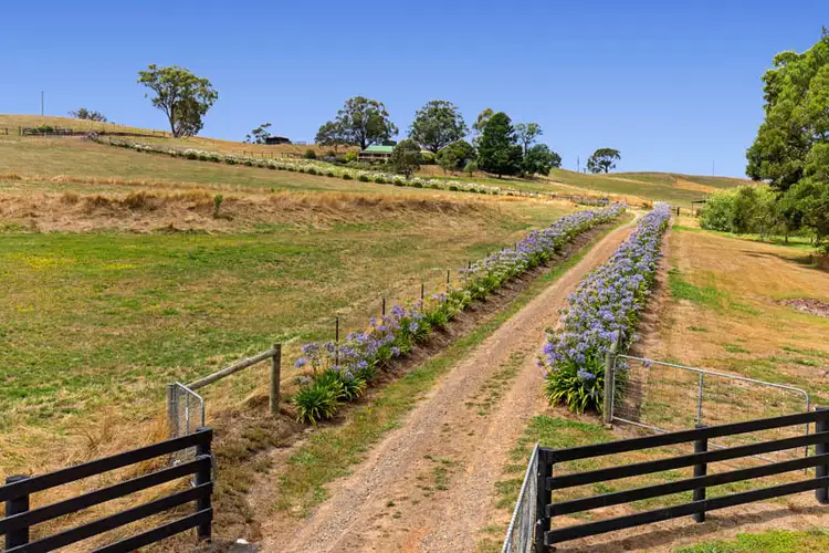 Second view of Homely house listing, 111 Joyces Road, Glenburn VIC 3717