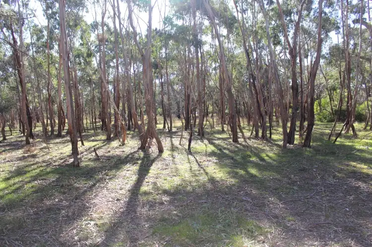 Fourth view of Homely rural property listing, LOT A22C Dereel-Rokewood Junction Road, Dereel VIC 3352