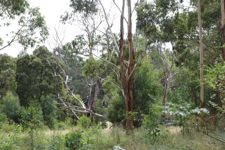 Third view of Homely land listing, Bush Block 90 Beaches Lane, Newbury VIC 3458