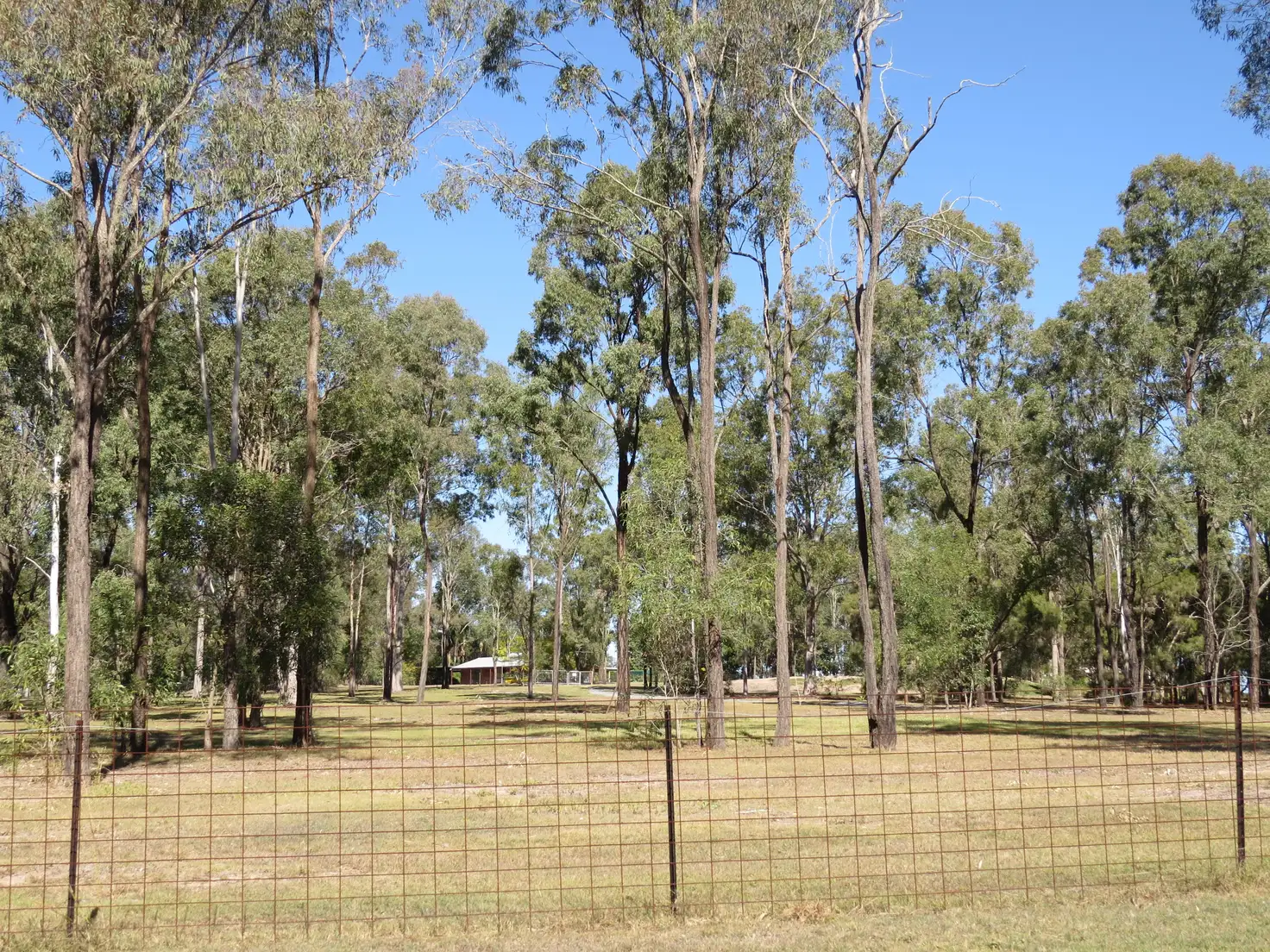 Main view of Homely house listing, 61-69 Jarrah Road, Jimboomba QLD 4280