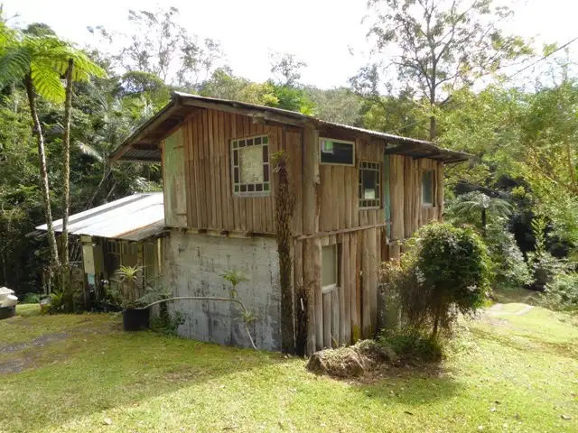 Main view of Homely rural property listing, 142 Wanganui Rd, Mullumbimby NSW 2482