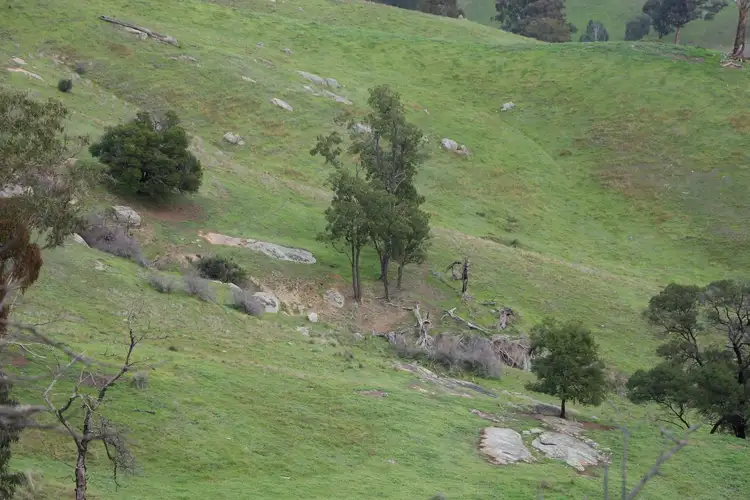 Third view of Homely rural property listing, 571 Molesworth Dropmore Road, Molesworth VIC 3718
