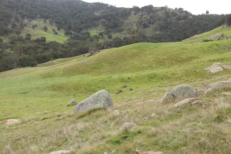 Seventh view of Homely rural property listing, 571 Molesworth Dropmore Road, Molesworth VIC 3718