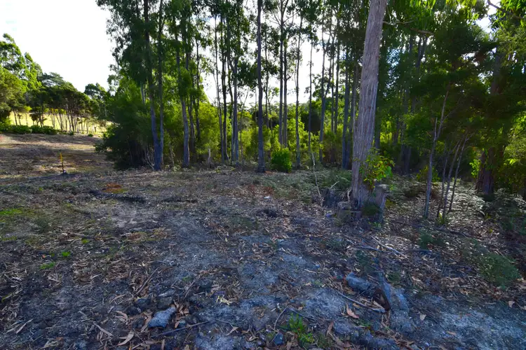 252 Back Cam Road, Somerset TAS 7322