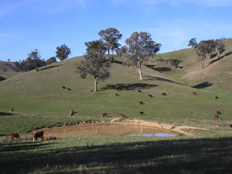 Sixth view of Homely rural property listing, 160 Kiernans Road, Bonnie Doon VIC 3720