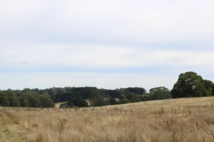Seventh view of Homely land listing, Paddock 90 Beaches Lane, Newbury VIC 3458