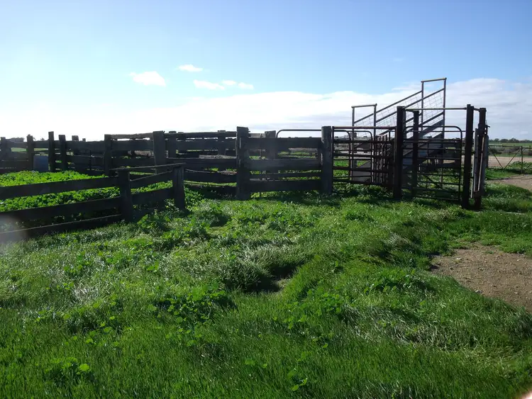Fifth view of Homely land listing, 0 Pyramid - Cohuna Road, Pyramid Hill VIC 3575