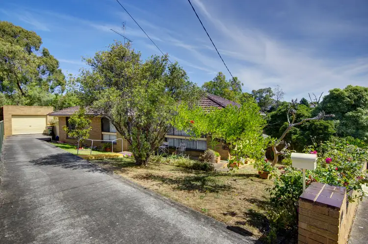 19 White Street, Belmont VIC 3216