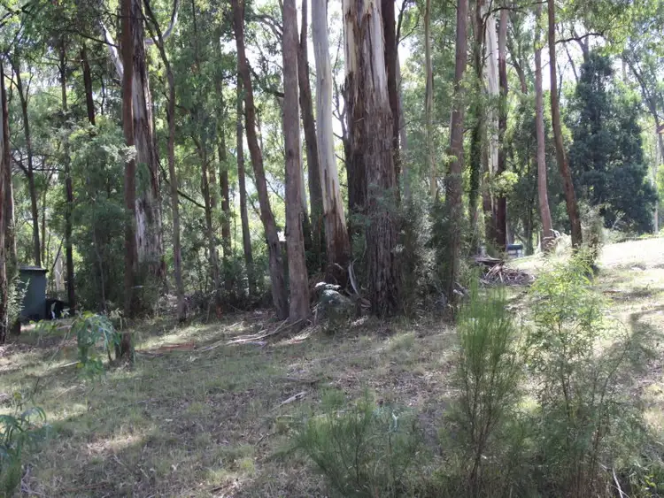 40 Rosella Street, Sawmill Settlement VIC 3723