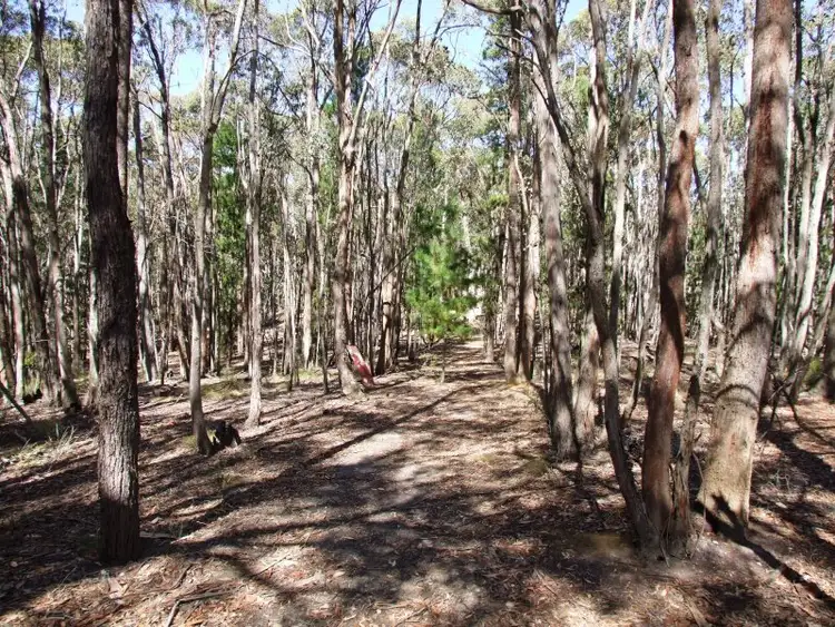 Second view of Homely house listing, 81 Race Road, Ross Creek VIC 3351