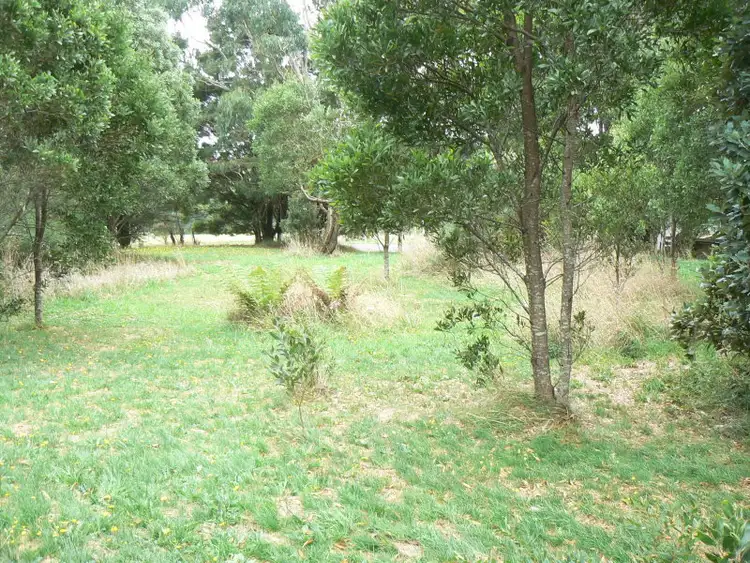Sixth view of Homely land listing, 12-14 Lavers Hill-Cobden Road, Lavers Hill VIC 3238
