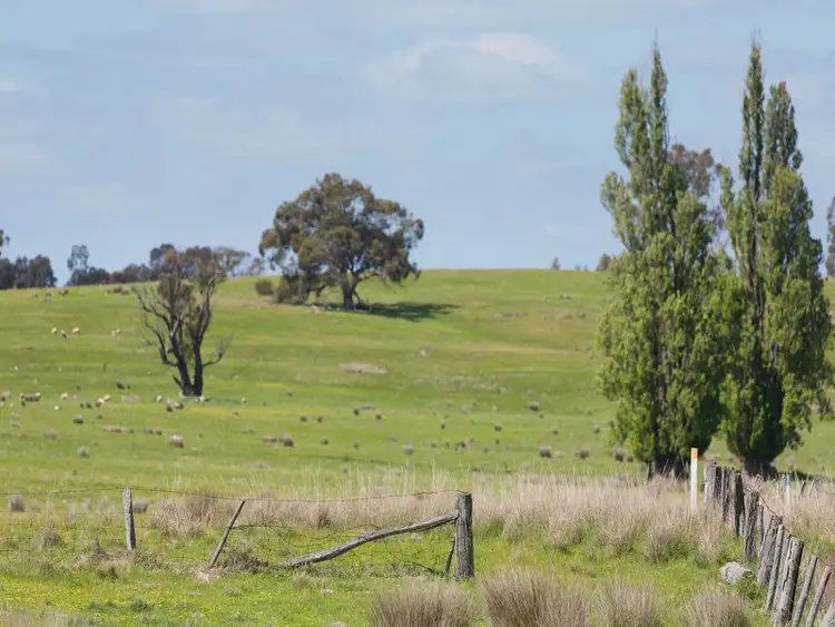 Sixth view of Homely rural property listing, Muckleford Gower Land, Muckleford VIC 3451