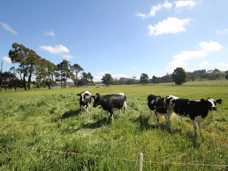 Main view of Homely rural property listing, 90 Bourkes road, Irishtown TAS 7330