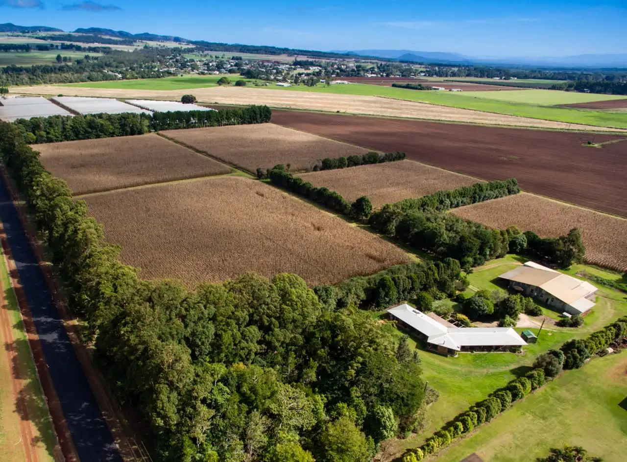 Main view of Homely rural property listing, 119 Beantree Road, Tolga QLD 4882