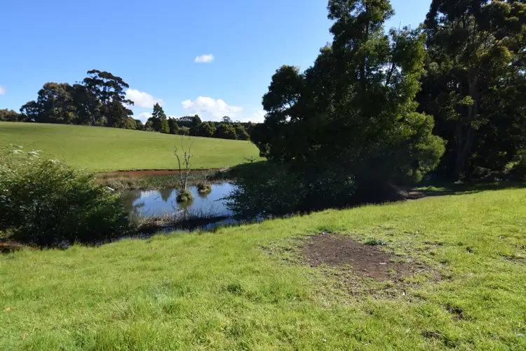 Fifth view of Homely rural property listing, 920 Murchison Highway, Elliott TAS 7325