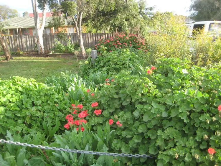 Second view of Homely house listing, 17 Baynes street, Rochester VIC 3561