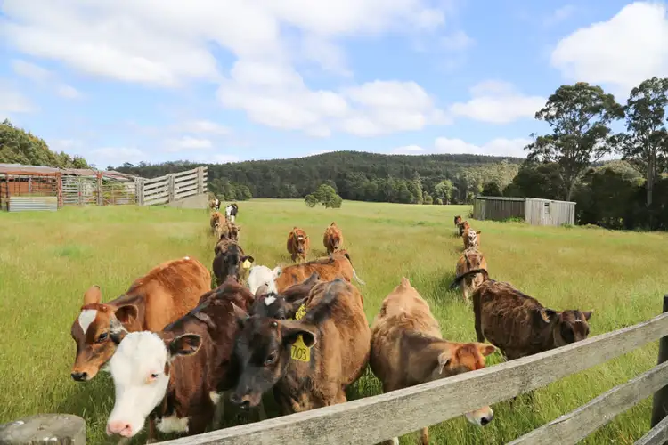 Main view of Homely rural property listing, 2112 Mawbanna Road, Mawbanna TAS 7321