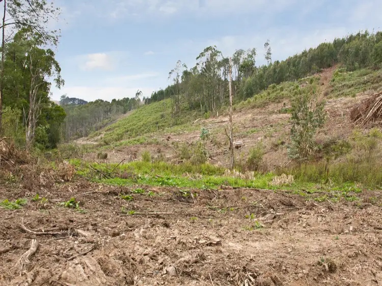 Main view of Homely rural property listing, Lot 1 Van Ess Road, Ferndale VIC 3821