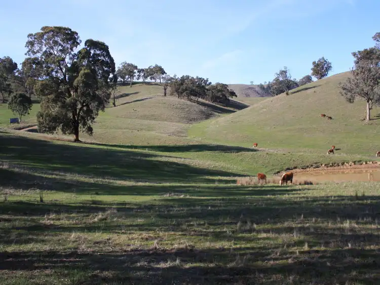 Fifth view of Homely rural property listing, 160 Kiernans Road, Bonnie Doon VIC 3720