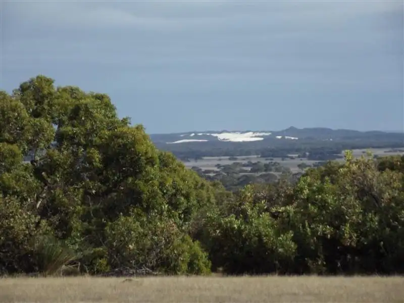 Main view of Homely rural property listing, 6 LOT 6 Gregors Road, Seddon SA 5223
