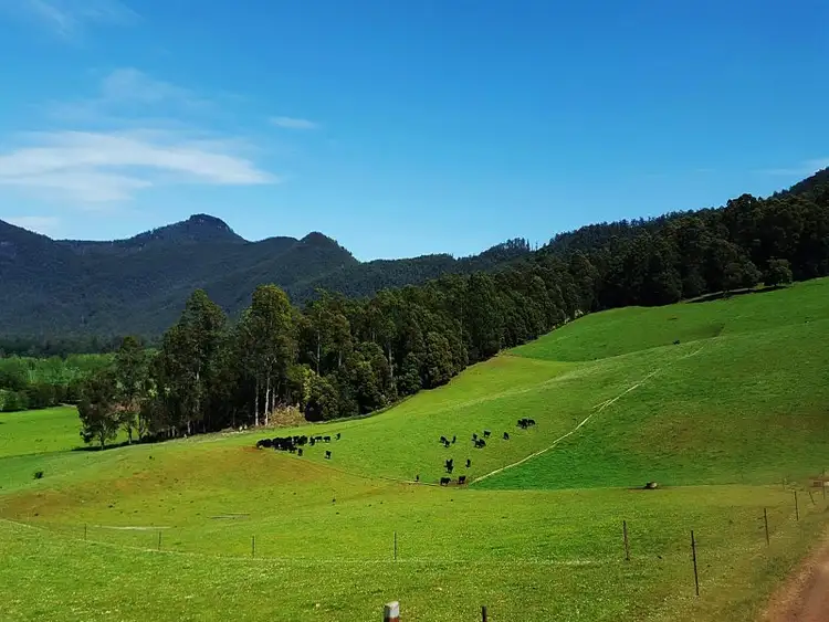 Fifth view of Homely rural property listing, 224 Lowana Road, Gunns Plains TAS 7315