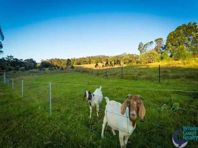 Second view of Homely land listing, 316A Ridge Road, Narooma NSW 2546