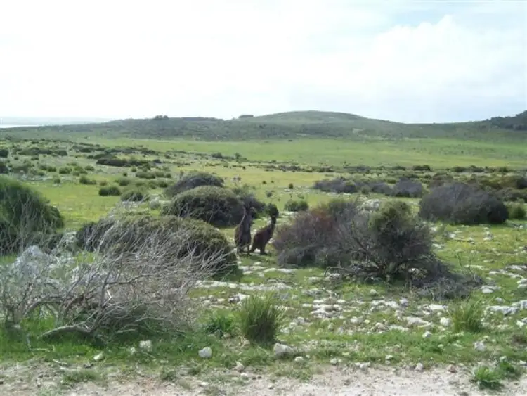 Fourth view of Homely rural property listing, 11 Cathers Rd, Pelican Lagoon SA 5222