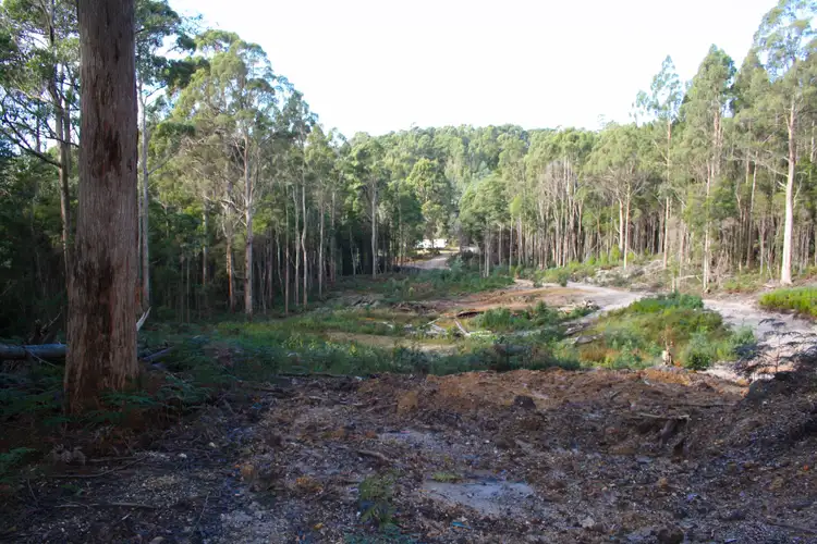 199 Pages Road, Calder TAS 7325