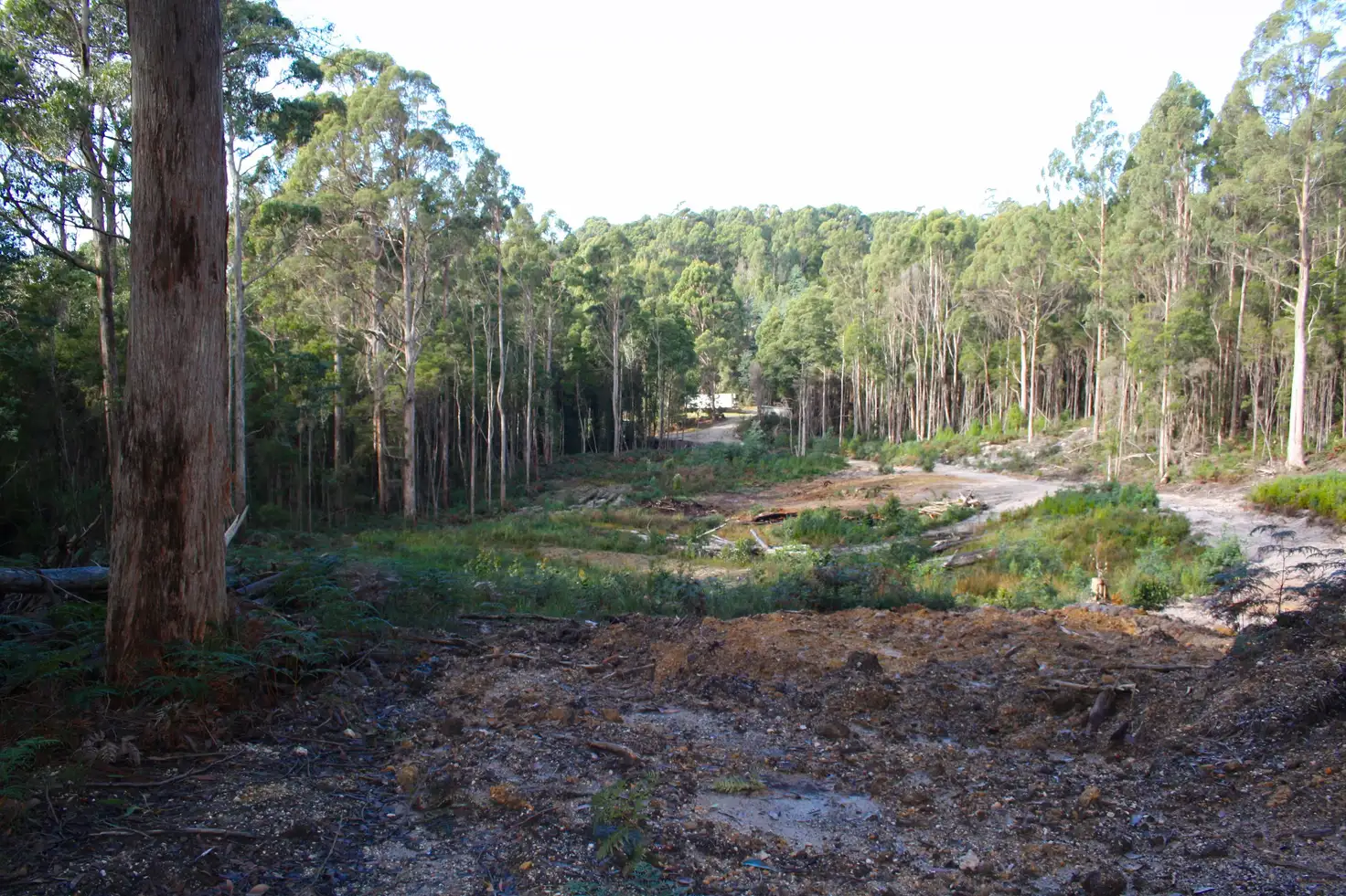 Main view of Homely land listing, 199 Pages Road, Calder TAS 7325