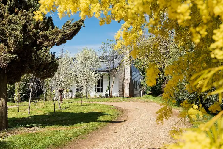 Main view of Homely house listing, 4 William Street, Castlemaine VIC 3450