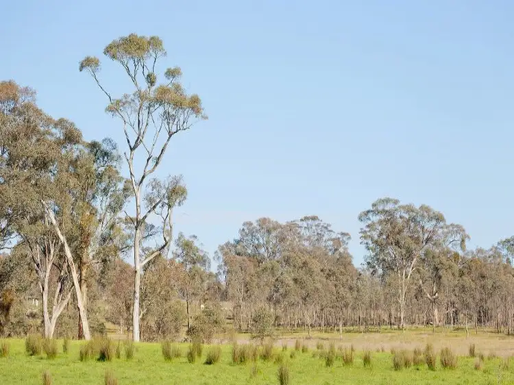 Sixth view of Homely rural property listing, Cnr Midland Highway & Limestone Road, Guildford VIC 3451