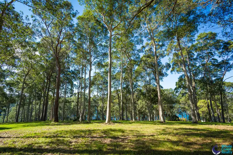 Fourth view of Homely land listing, LOT 86/130 Rainforest Parkway, Narooma NSW 2546