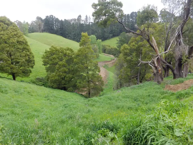 Fifth view of Homely rural property listing, LOT 1 Yarragon Leongatha Road, Yarragon VIC 3823