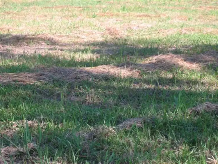 Seventh view of Homely land listing, 30 Barcrest Drive, Yandina QLD 4561
