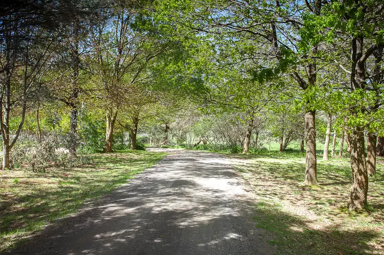 Fifth view of Homely rural property listing, 136 Tucketts Road, Mount Macedon VIC 3441
