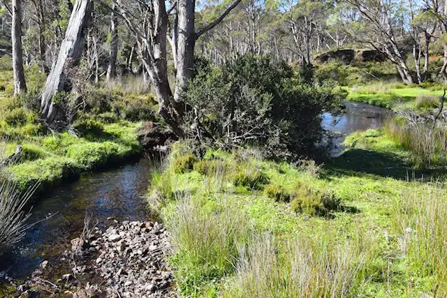 Main view of Homely land listing, LOT 01 Cradle Mountain Road, Moina TAS 7310