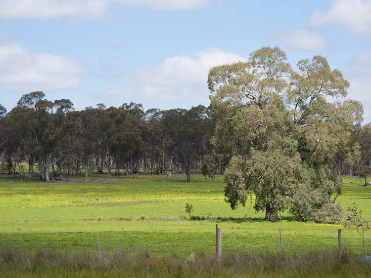 Fifth view of Homely rural property listing, Muckleford Gower Land, Muckleford VIC 3451